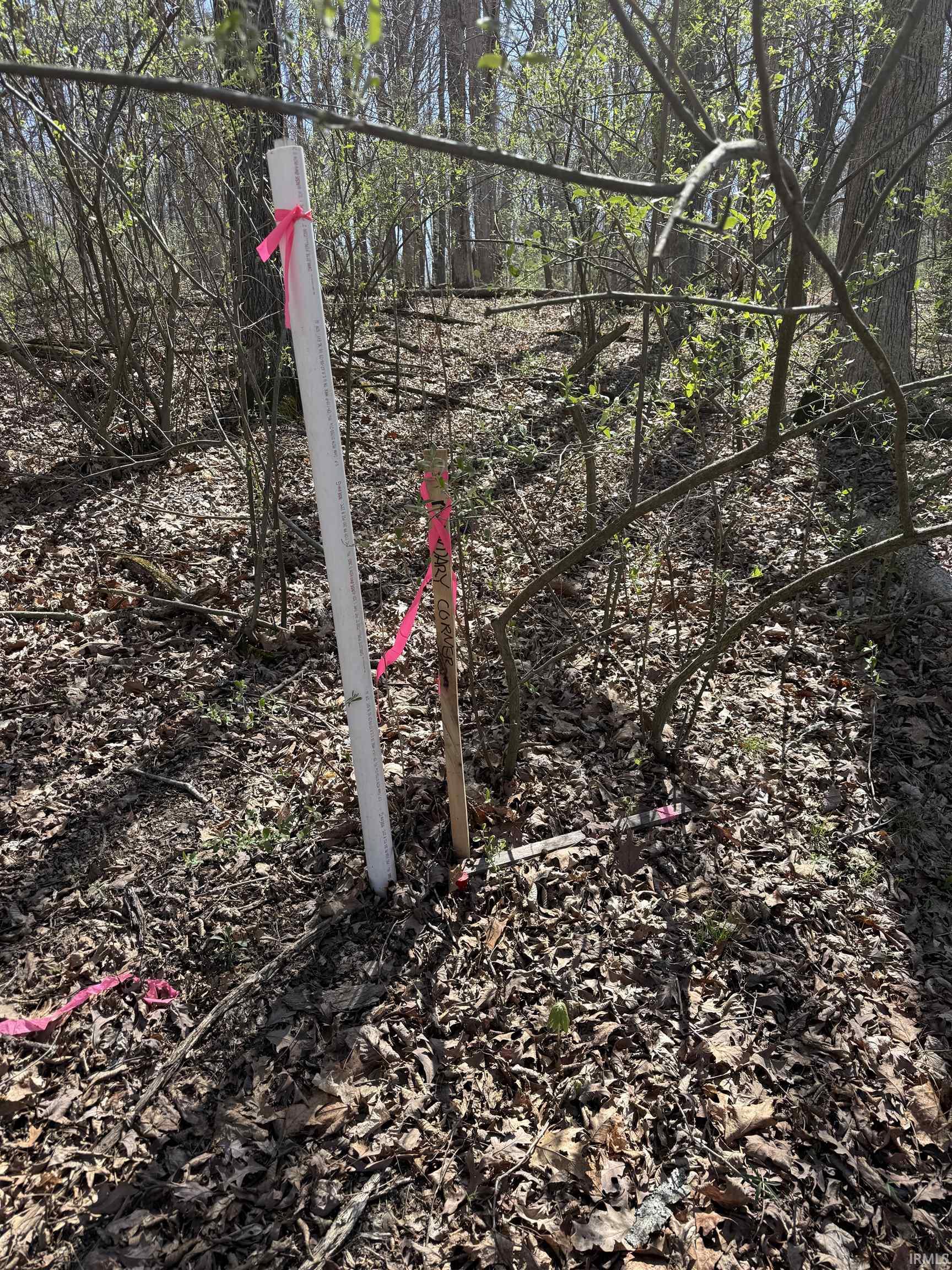 Tract 3-co Rd South Tract 3-co Road Stendal, IN 47585 - Photo 5 of 28