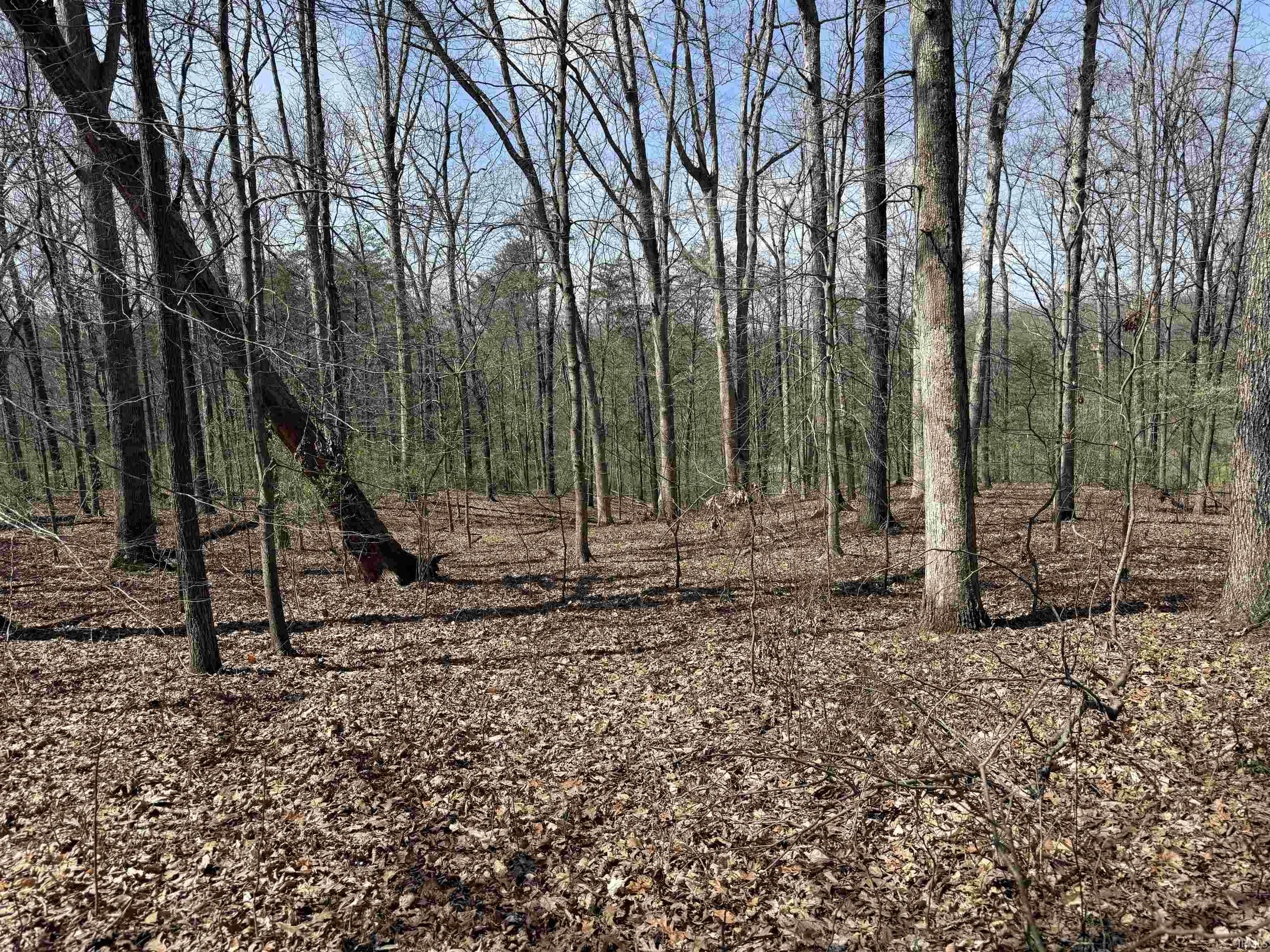 Tract 3-co Rd South Tract 3-co Road Stendal, IN 47585 - Photo 7 of 28