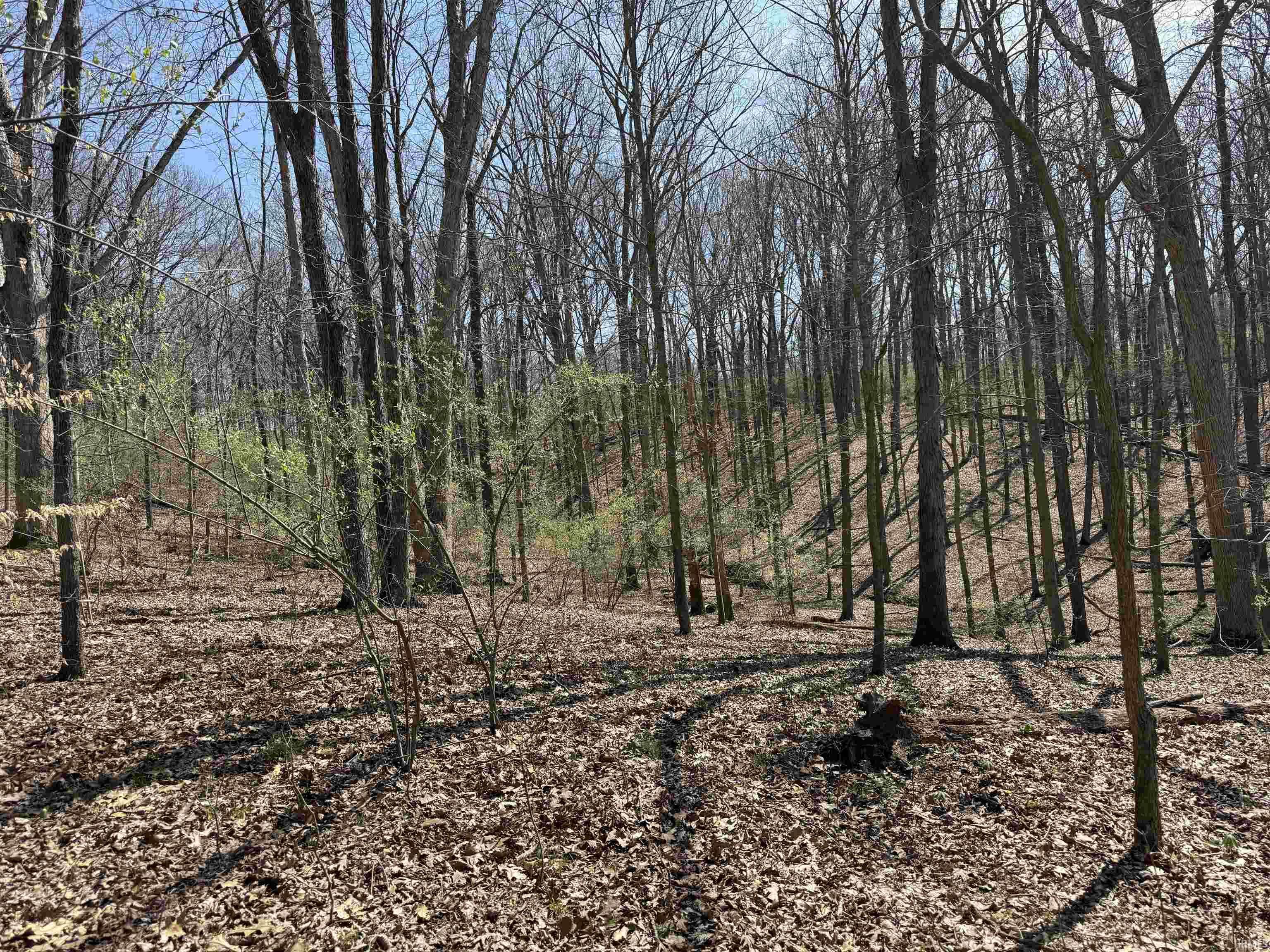 Tract 3-co Rd South Tract 3-co Road Stendal, IN 47585 - Photo 9 of 28