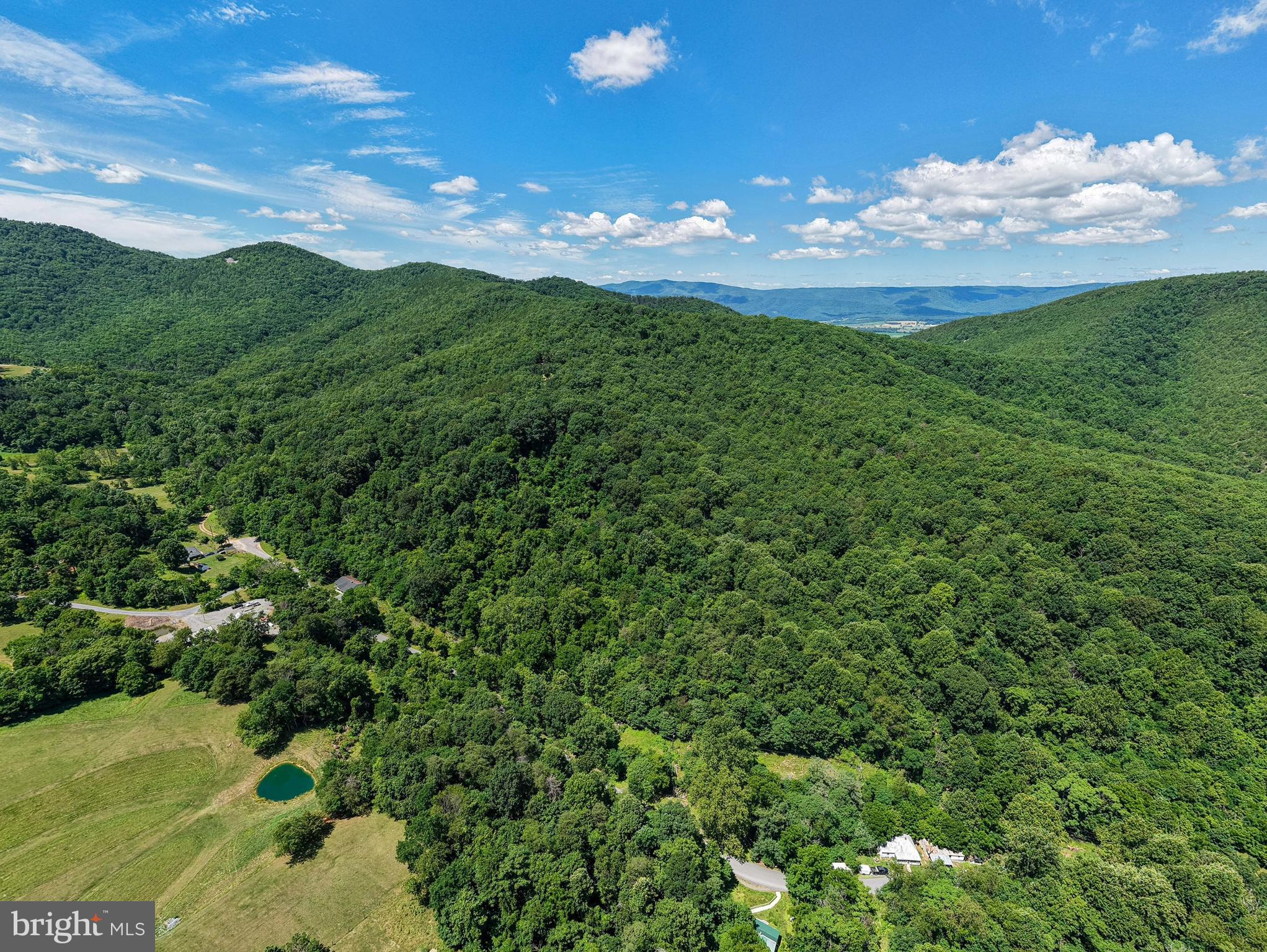 0 Dovel Hollow Road Stanley, VA 22851 - Photo 13 of 22