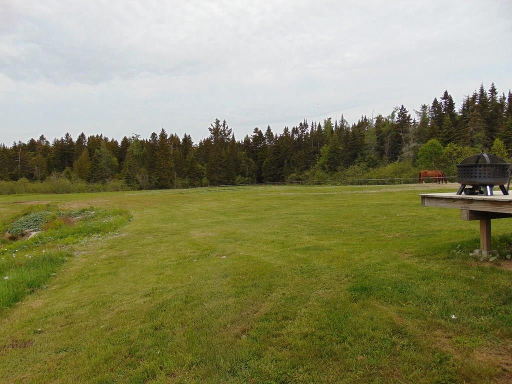 1134 Cutler Road Whiting, ME 04691 - Photo 9 of 31 Nice land out back, even if you...