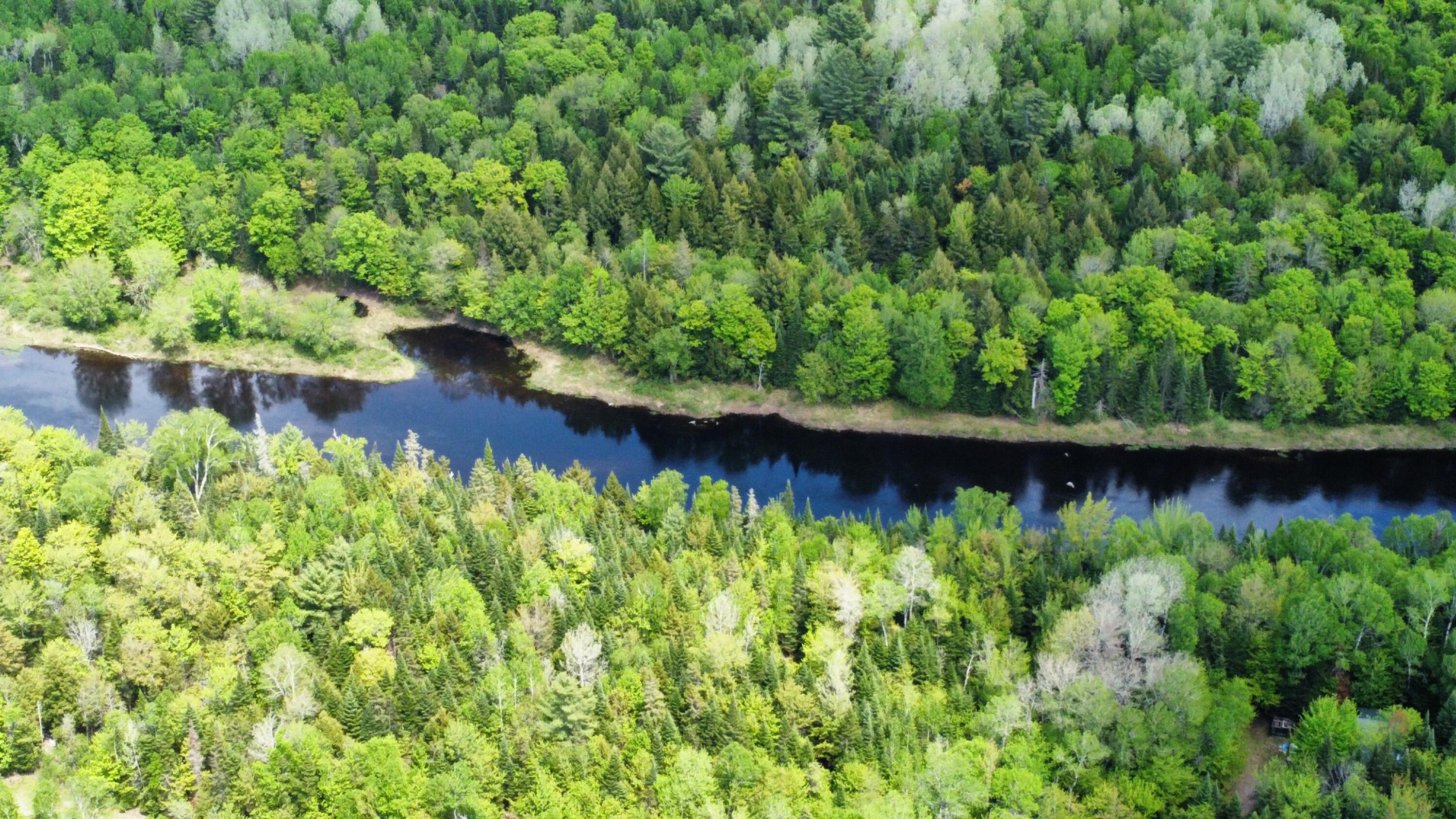 # Private Road Island Falls, ME 04747 - Photo 2 of 16 1000007548