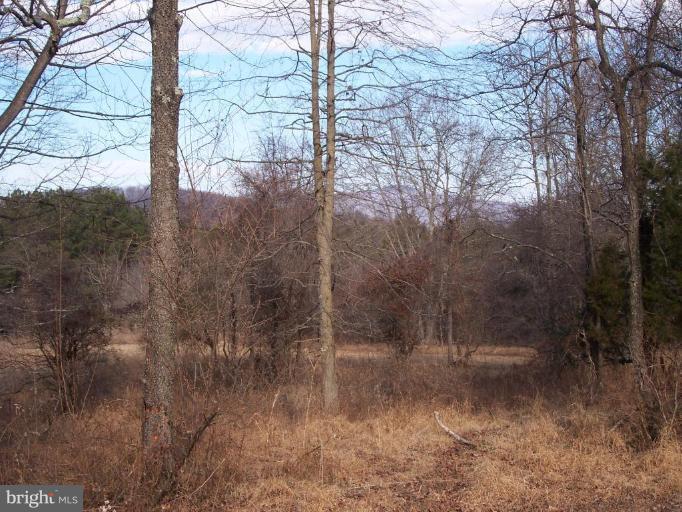 Ridgeview Lane Castleton, VA 22716 - Photo 2 of 14 western view