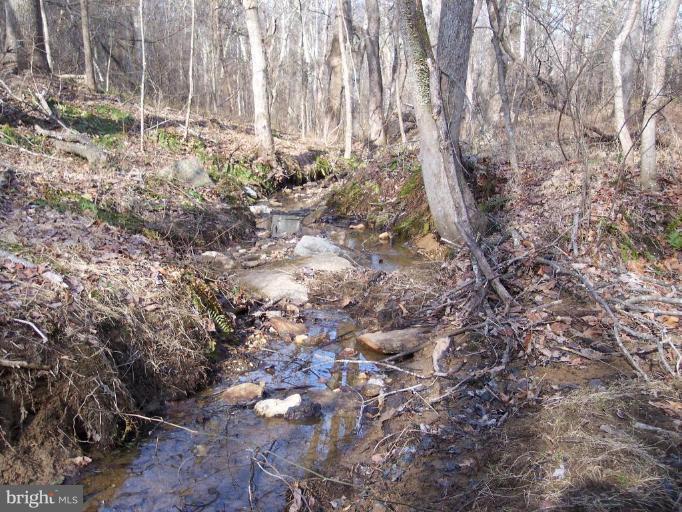 Ridgeview Lane Castleton, VA 22716 - Photo 12 of 14 strem