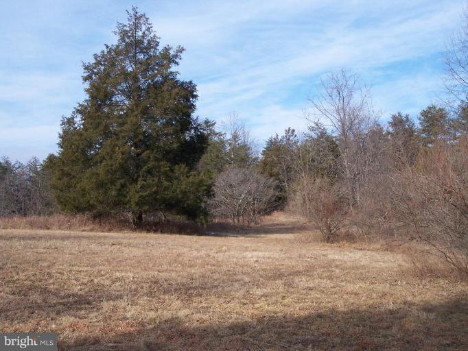Ridgeview Lane Castleton, VA 22716 - Photo 13 of 14 Other #2