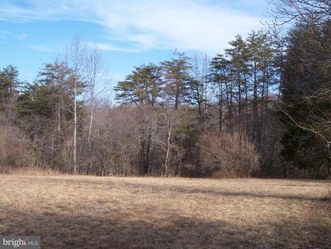 Ridgeview Lane Castleton, VA 22716 - Photo 14 of 14 Wooded View / Acreage