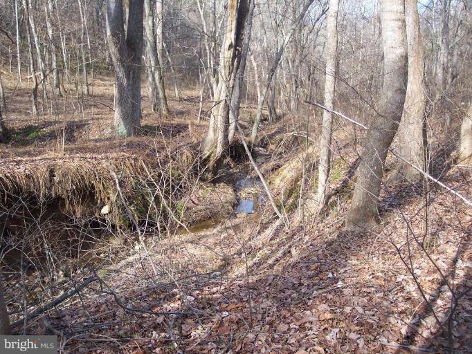 Ridgeview Lane Castleton, VA 22716 - Photo 6 of 14 creekbed