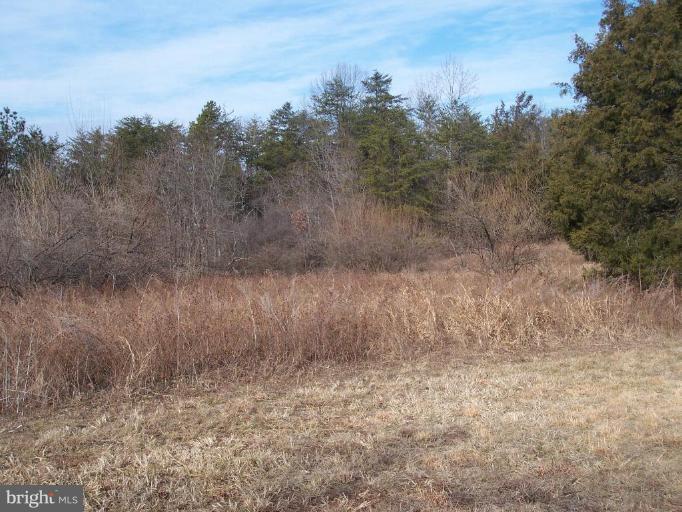 Ridgeview Lane Castleton, VA 22716 - Photo 9 of 14 Wooded View / Acreage 2