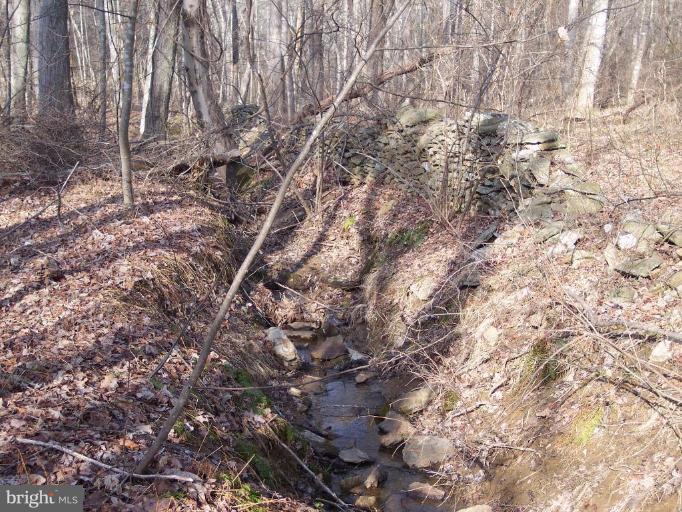 Ridgeview Lane Castleton, VA 22716 - Photo 10 of 14 creek