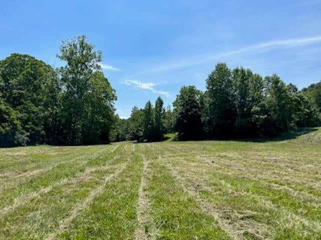 0 Mt Tussell Road Knifley, KY 42753 - Photo 24 of 46 Gallery Image 24