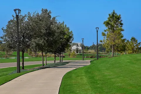 a view of a park with large trees