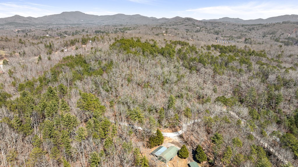 3 Old Mill Road Mineral Bluff, GA 30559 - Photo 40 of 45 Gallery Image 40