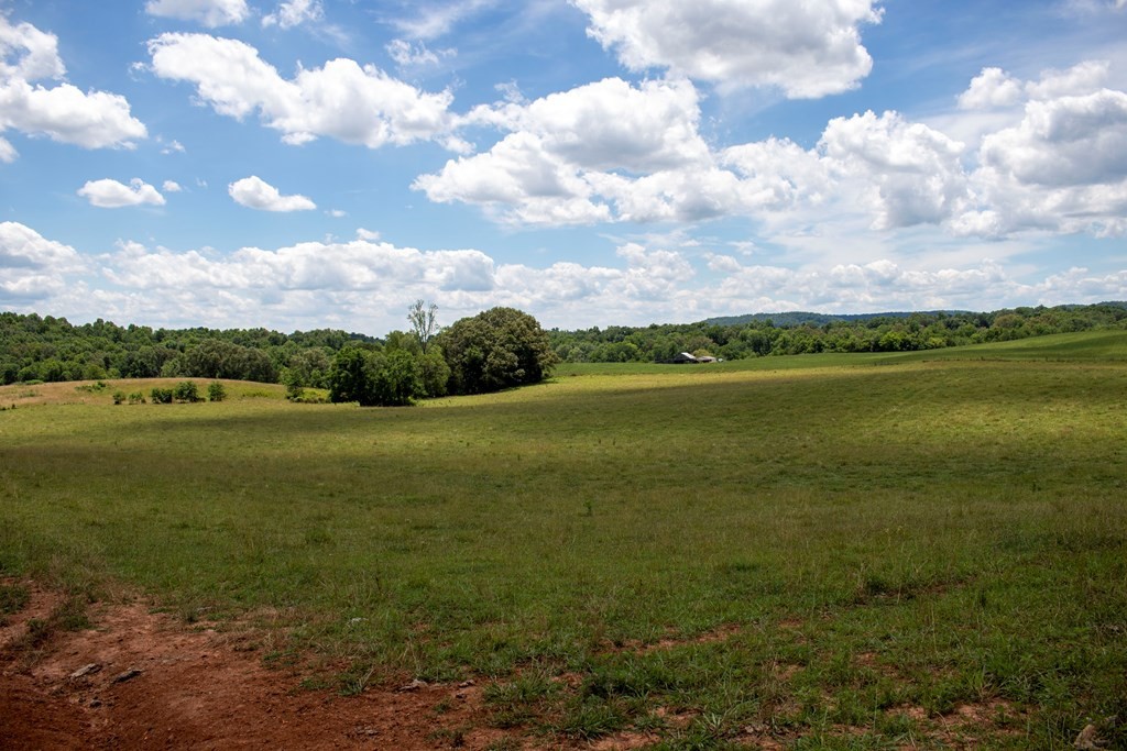0 Frank Sims Road Sparta, TN 38583 - Photo 22 of 34 Gallery Image 22