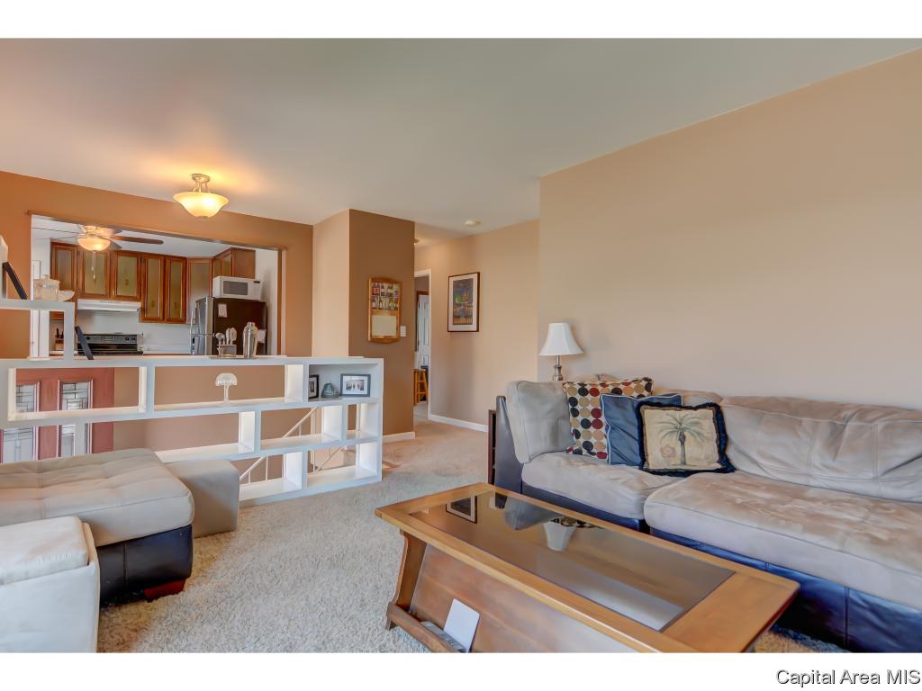 30 Groton Drive Springfield, IL 62702 - Photo 5 of 31