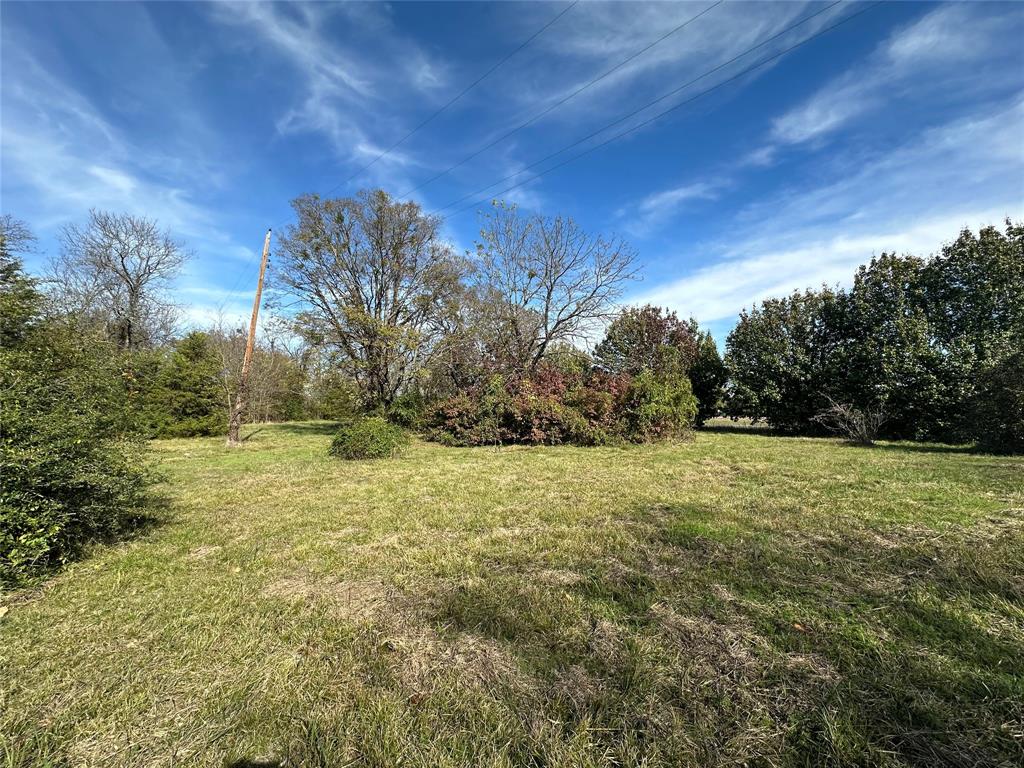 731 Northwest 1st Street Cooper, TX 75432 - Photo 3 of 9 a view of outdoor space and yard