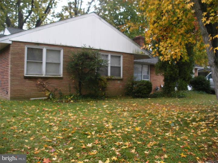 206 East Providence Road Yeadon, PA 19050 - Photo 3 of 25 a backyard of a house with plants and tree