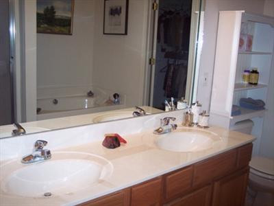 2980 Sandersville Road Lexington, KY 40511 - Photo 19 of 27 Master bath