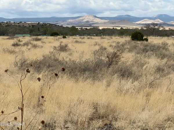 $495,000 | 60 East Highway 60, Springerville, AZ 85938