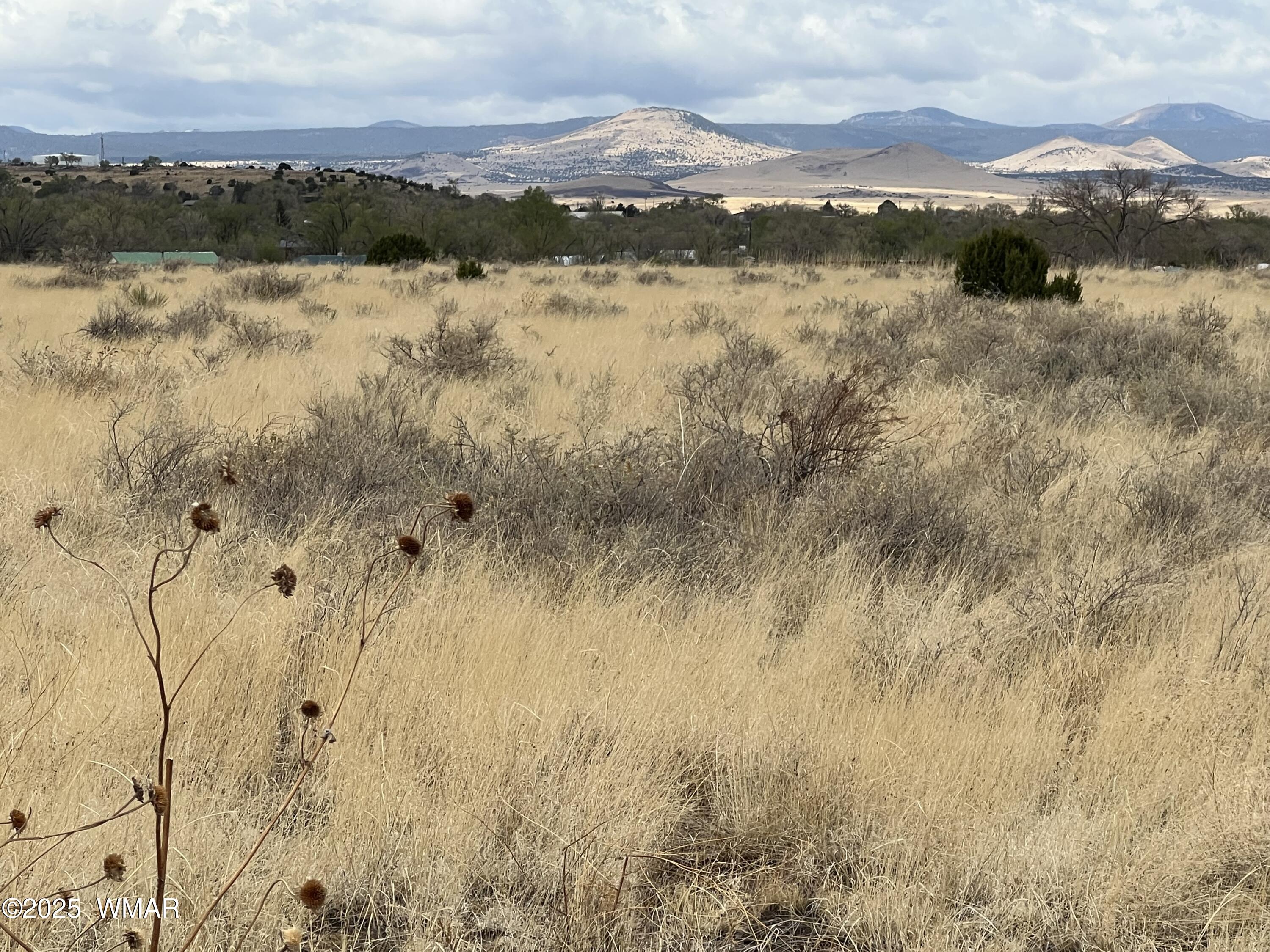 60 East Highway 60 Springerville, AZ 85938 - Photo 1 of 3 a view of lake with mountain