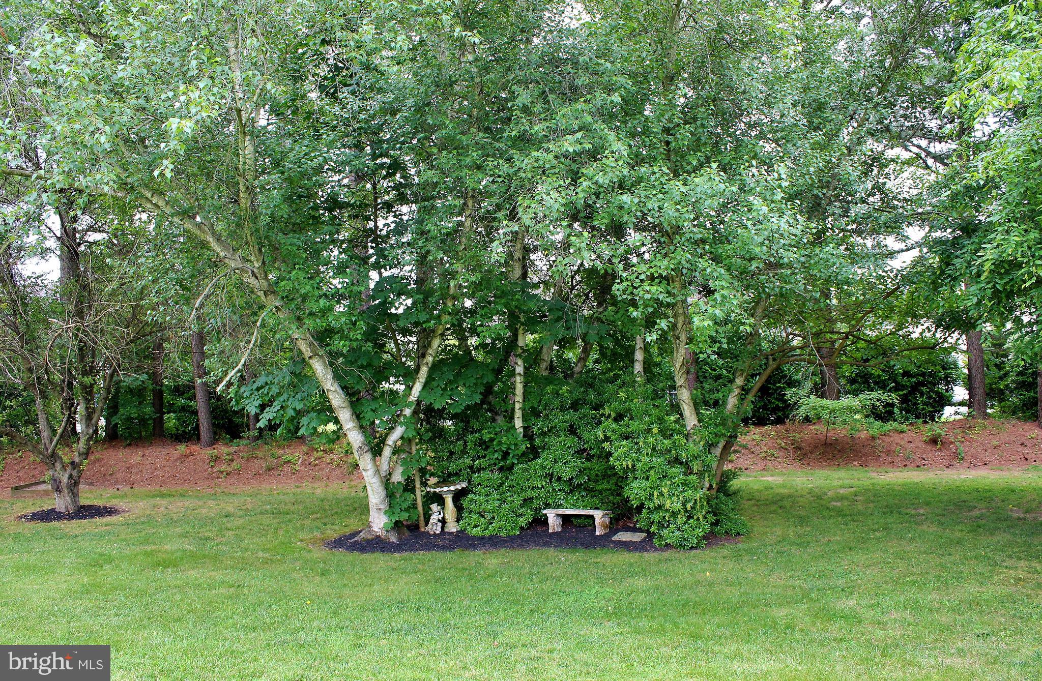 1986 McCoy Road Bear, DE 19701 - Photo 78 of 81 Landscaping