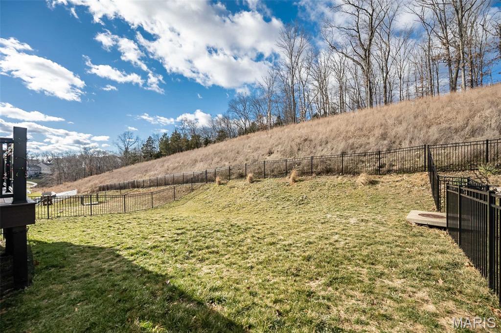 17457 Wyman Ridge Drive Eureka, MO 63025 - Photo 40 of 52