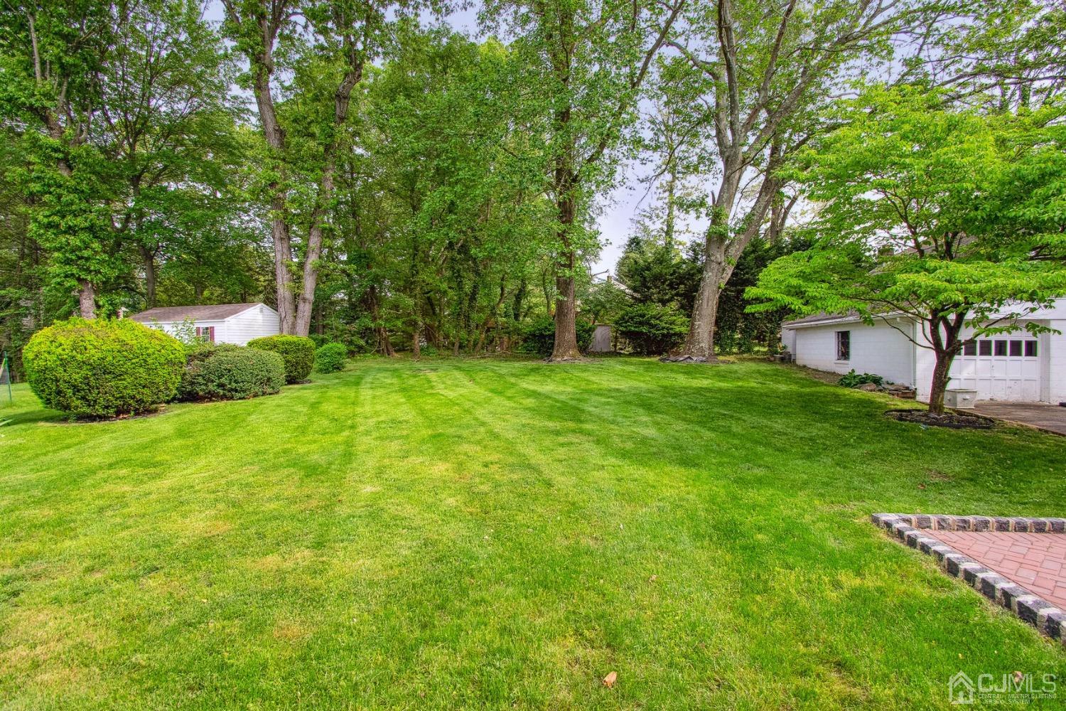 220 Dunhams Corner Road East Brunswick, NJ 08816 - Photo 4 of 27 a view of a backyard with large trees
