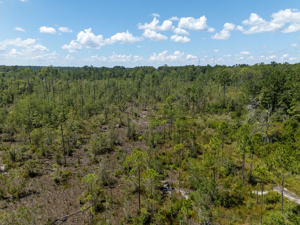 0 Union Road Hahira, GA 31632 - Photo 8 of 49 Gallery Image 8