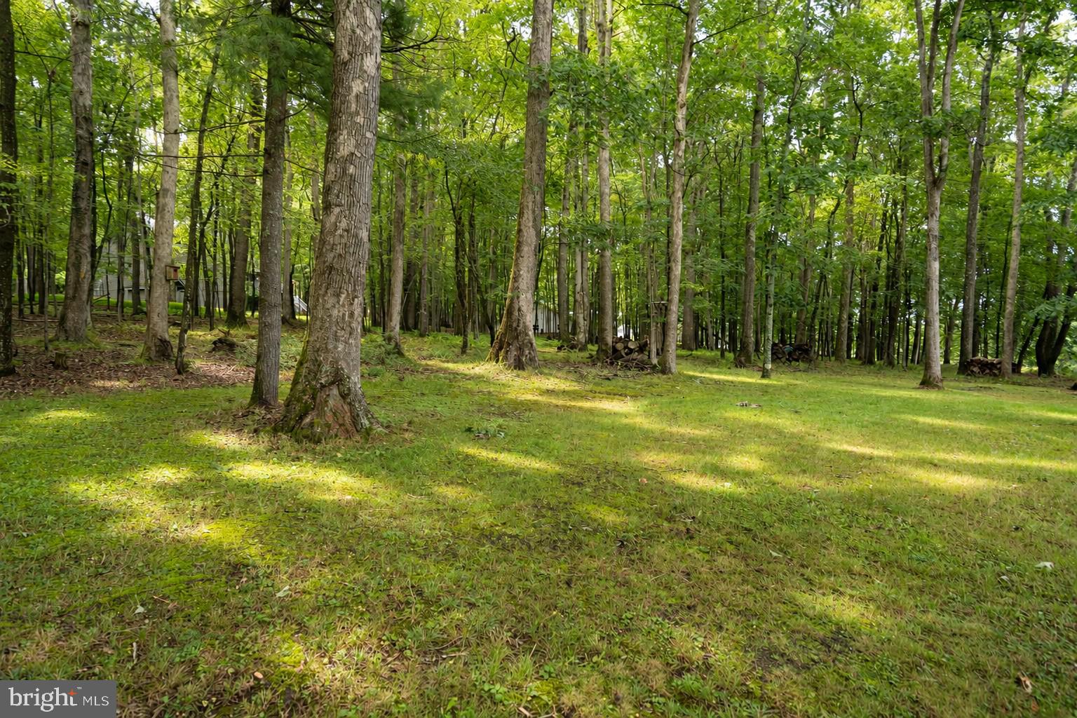 15 Sky Valley Road Swanton, MD 21561 - Photo 5 of 8 Gallery Image 5