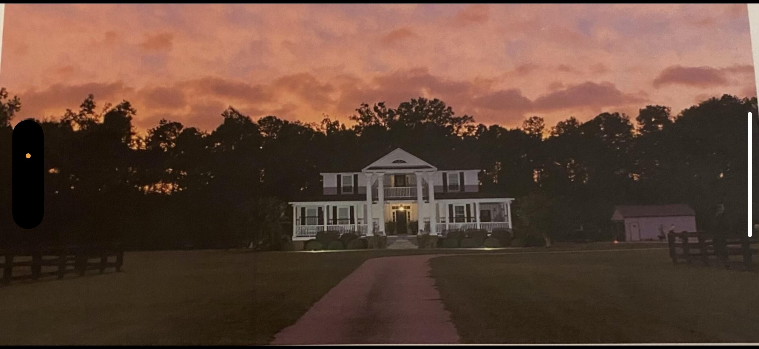 785 Rehoboth Road Cottageville, SC 29435 - Photo 5 of 73 IMG_2535