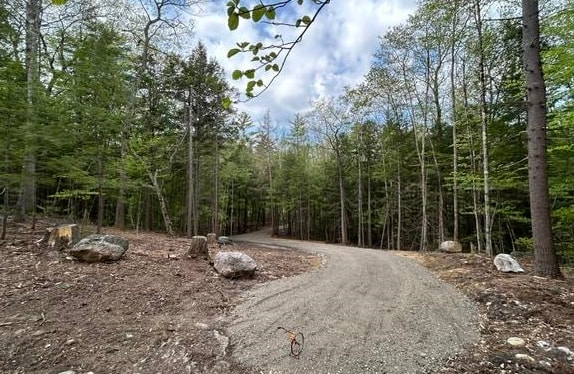 0 Route 114 North Sutton, NH 03260 - Photo 4 of 13