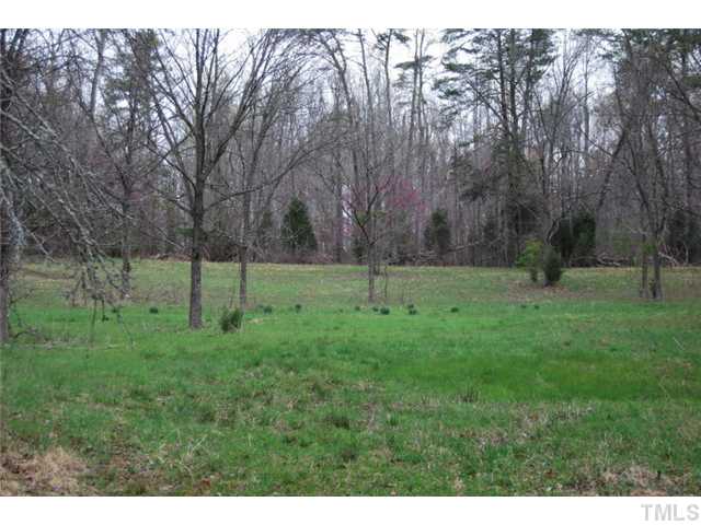 1307 Bahama Road Bahama, NC 27503 - Photo 5 of 12 Seven acres plus of land.