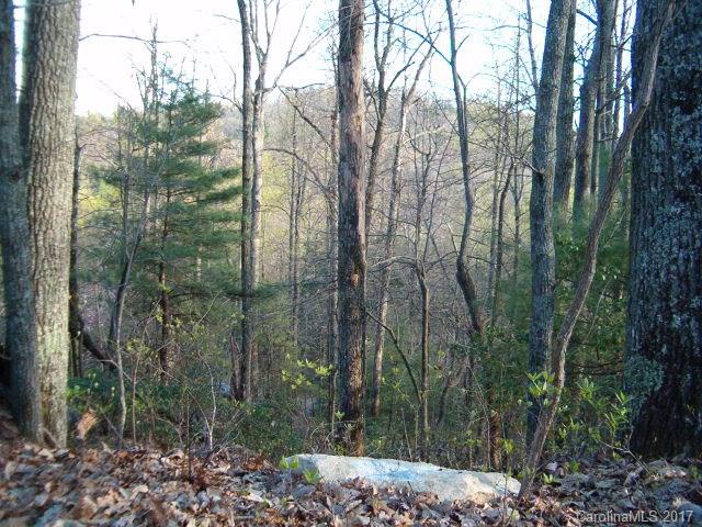 2 Ridge Drive Saluda, NC 28773 - Photo 11 of 11 Gallery Image 11