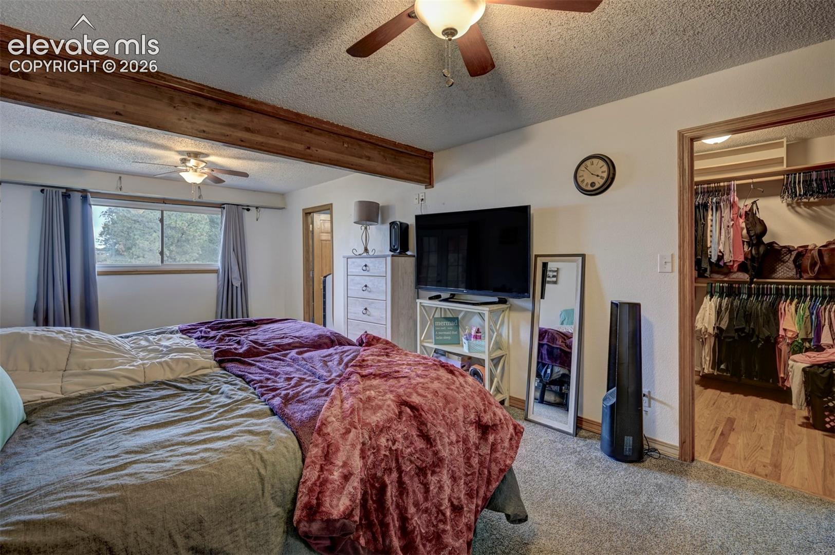 8170 Valli Farm Road Fountain, CO 80817 - Photo 13 of 50 Exposed wood ceiling beam, ceiling fan, window with exterior scenery, carpet flooring, and a walk-in closet with wood-finish flooring