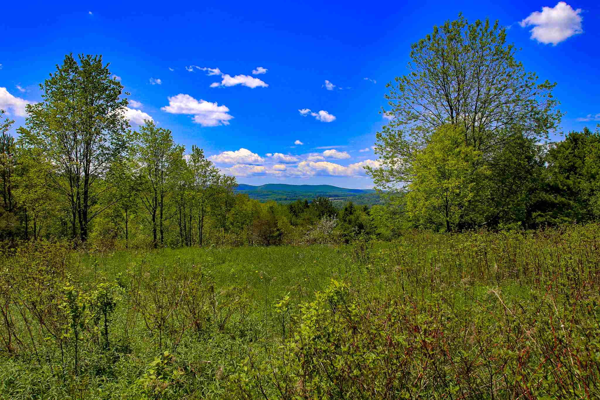 387 Sierra Lavin Road Barre Town, VT 05641 - Photo 14 of 40 Gallery Image 14
