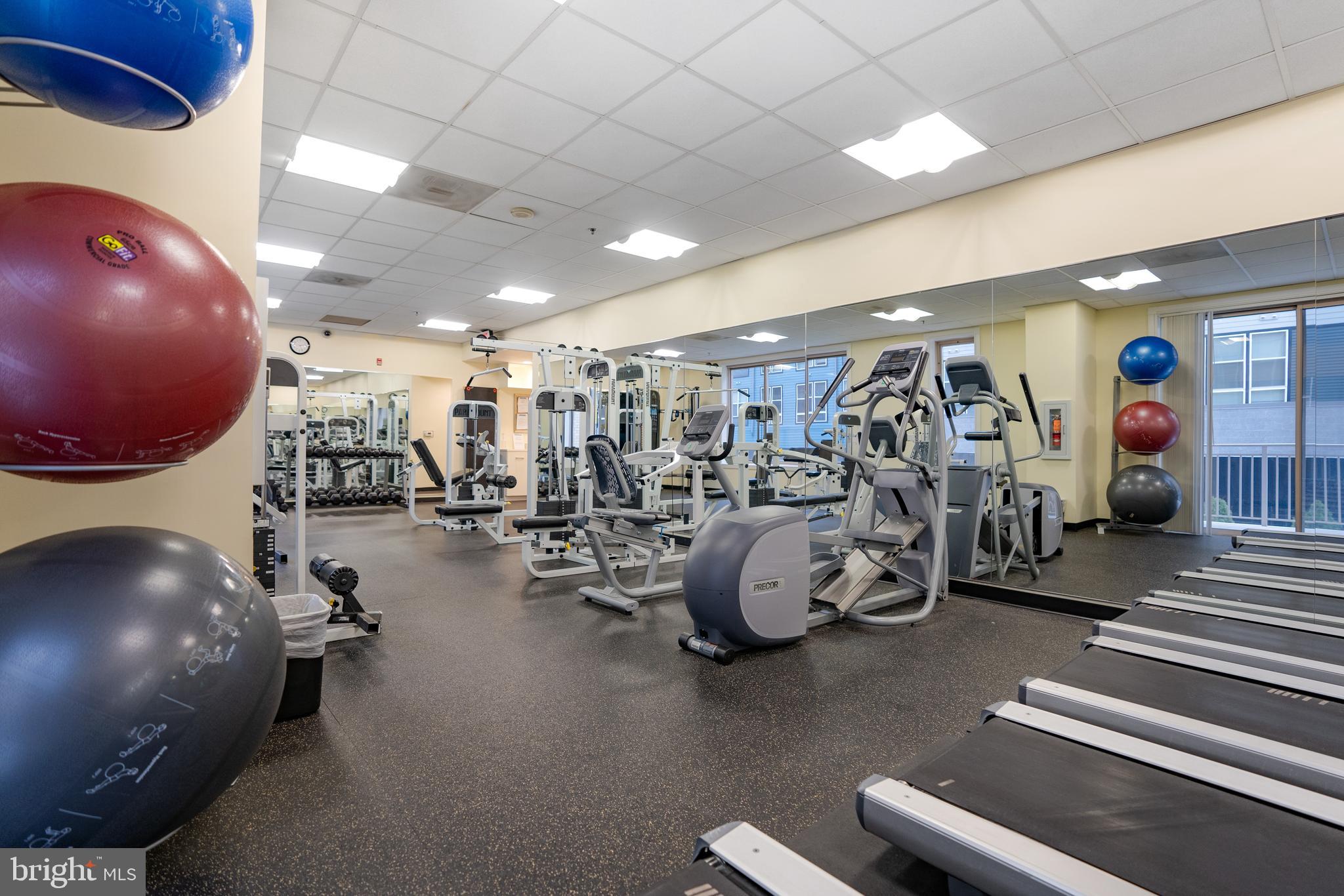 2726 Gallows Road, Unit 311 Vienna, VA 22180 - Photo 28 of 28 Gym