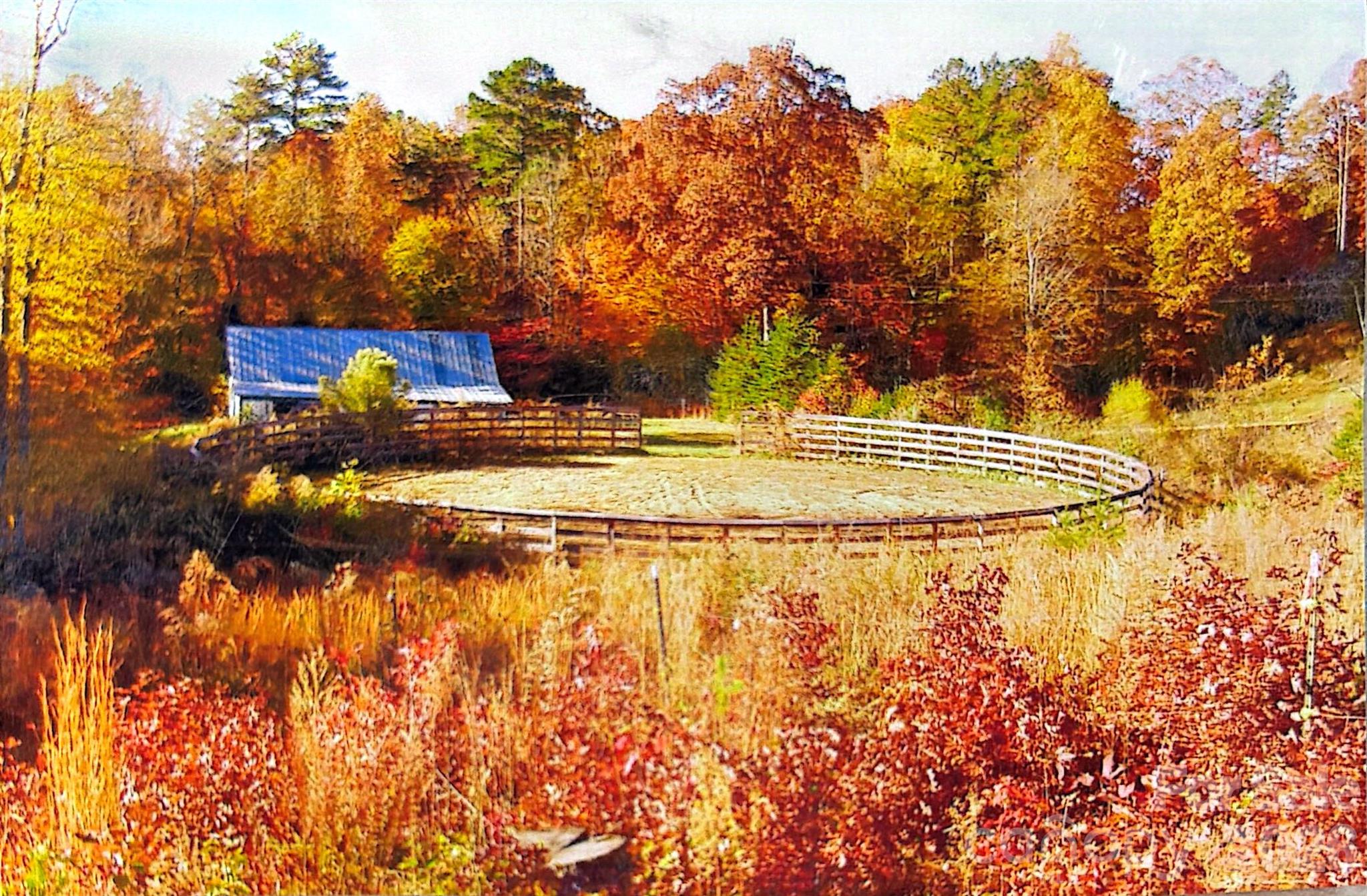 6582 Hoot Owls Hollow Road Hickory, NC 28602 - Photo 43 of 45