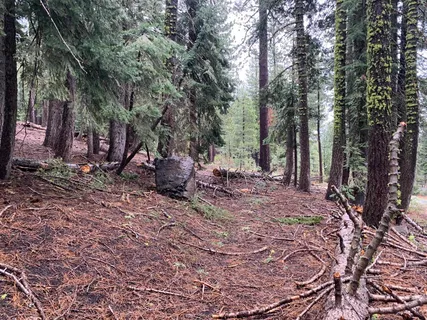 $80,000 | 4036 Courchevel Road, Homewood, CA 96141