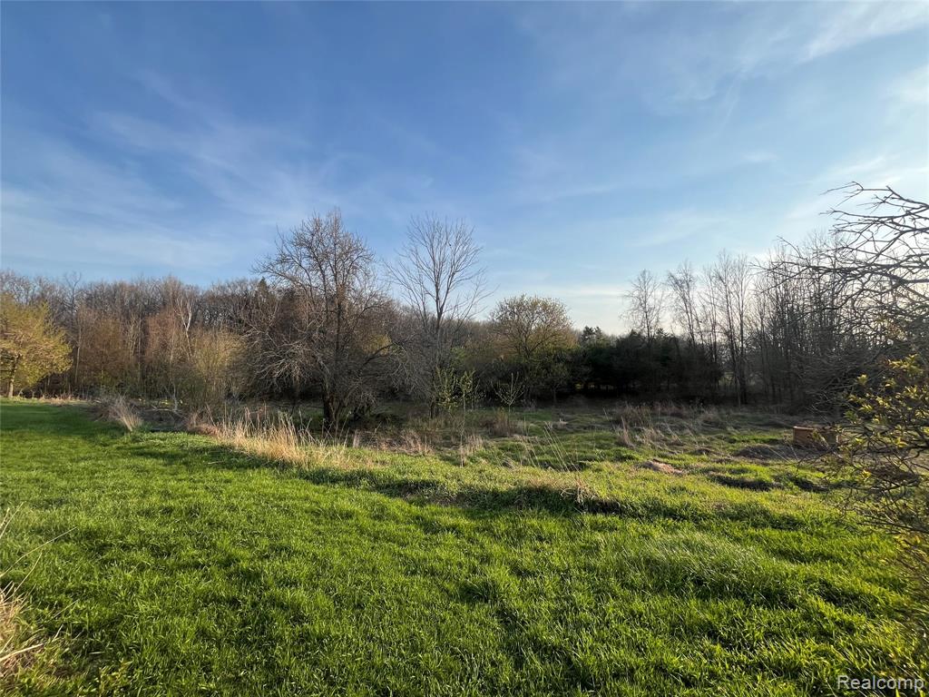 4218 Babcock Road, Unit 3 Croswell, MI 48422 - Photo 10 of 42