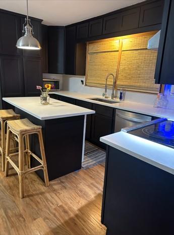 5291 Driskell Drive Winston, GA 30187 - Photo 2 of 29 a kitchen with a sink and a window