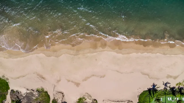 a view of stairs and a garden
