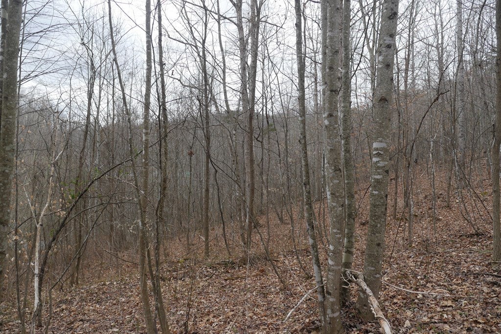 Tbd Old Mill Road, Unit 23 Glade Spring, VA 24340 - Photo 22 of 32 Gallery Image 22