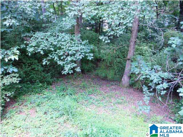 3431 River Road North Birmingham, AL 35223 - Photo 21 of 22