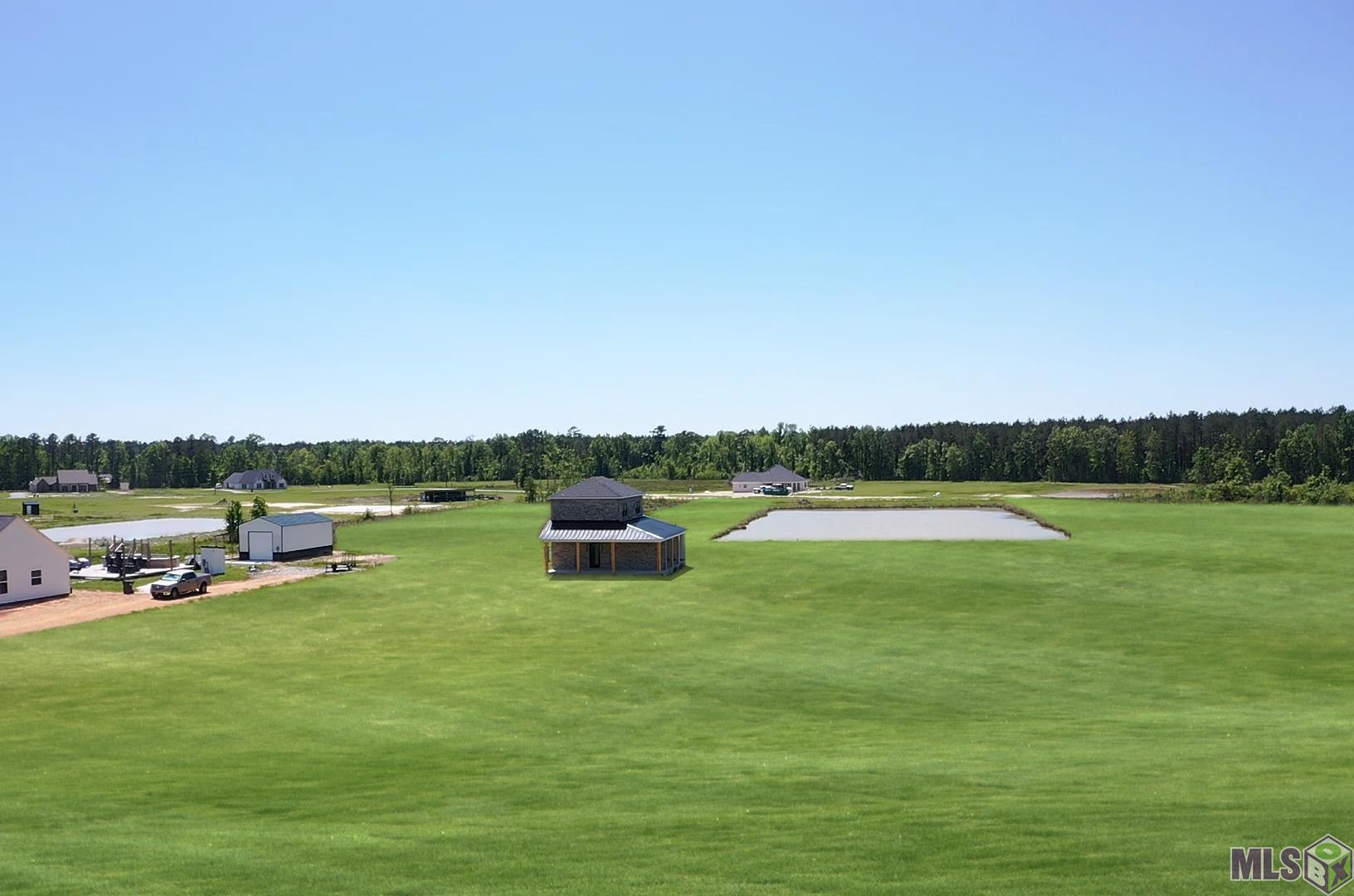 20098 Palmer Road Livingston, LA 70754 - Photo 11 of 12