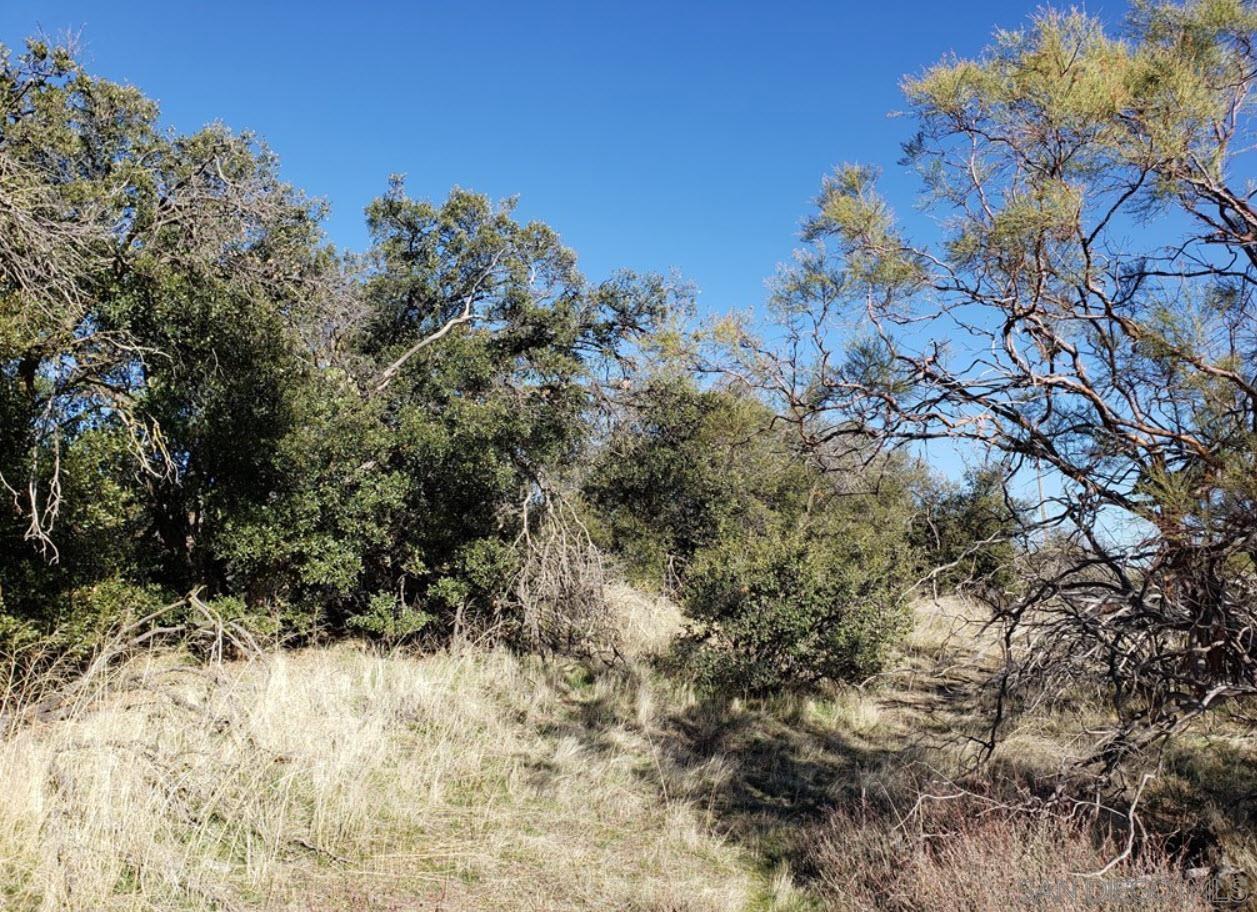 0 Th Anza, CA 92539 - Photo 5 of 10 a view of a yard covered with trees
