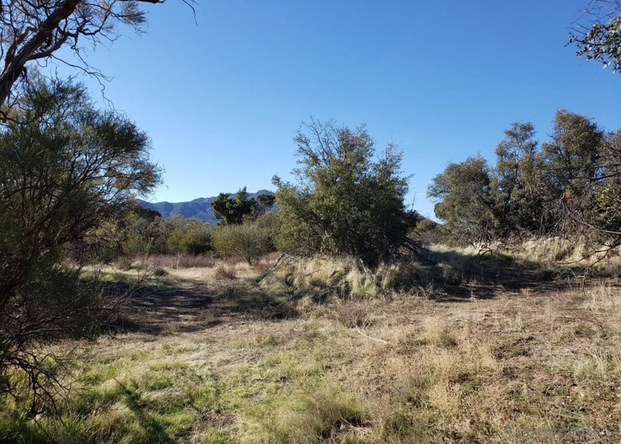 0 Th Anza, CA 92539 - Photo 7 of 10 a view of a yard
