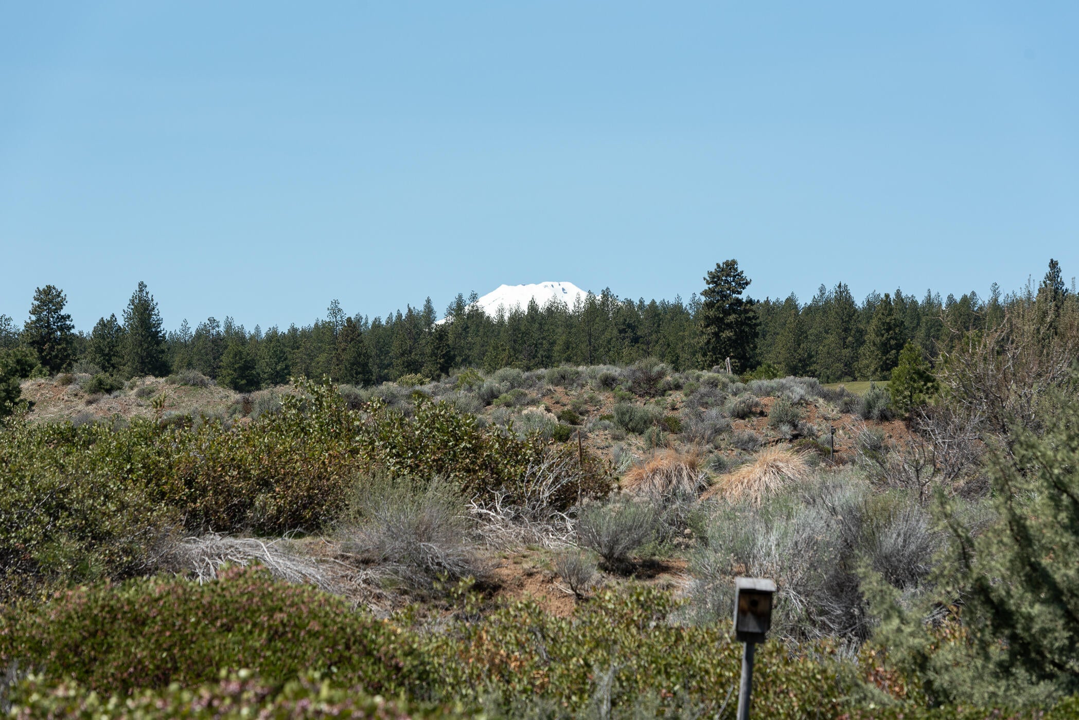 61337 Triple Knot Road Bend, OR 97702 - Photo 44 of 52 45