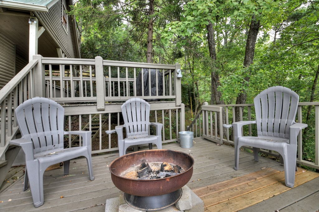 477 Mountain View Circle Blue Ridge, GA 30513 - Photo 30 of 32 Gallery Image 30