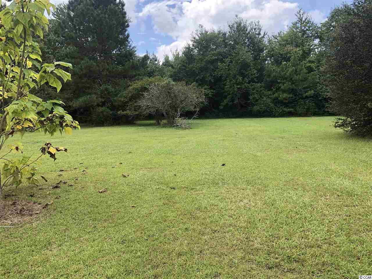 4694 Woodyard Bay Road Loris, SC 29569 - Photo 31 of 37 Gallery Image 31