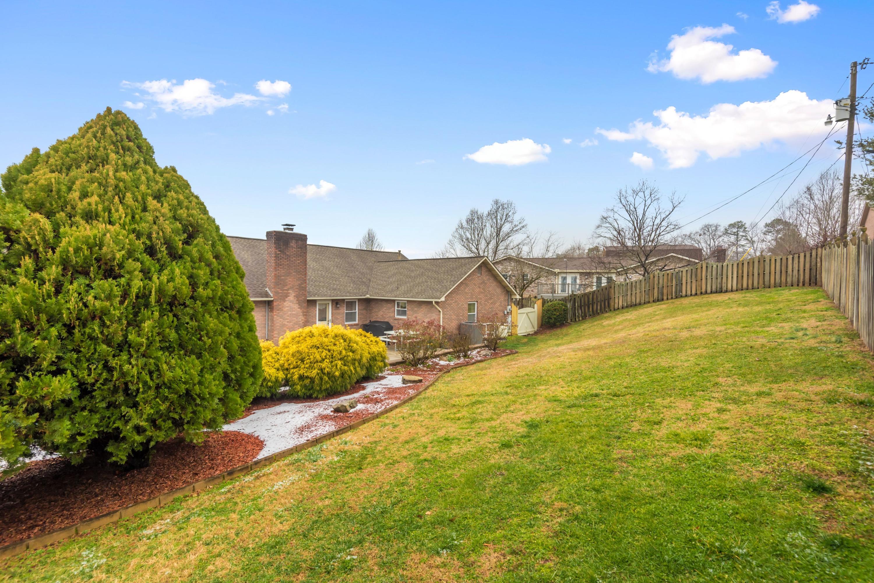7732 Norwich Road Powell, TN 37849 - Photo 23 of 24 Norwich backyard 2