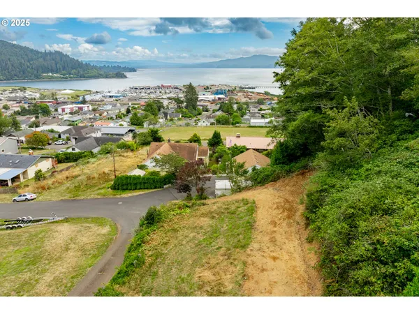 a view of a yard with plants and a bench